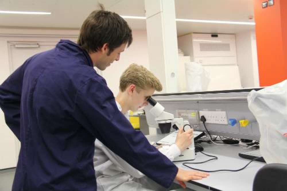 Worl experience lab